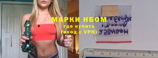 гидропоника Горнозаводск
