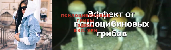 эйфоретик Няндома