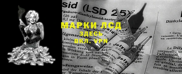 гидропоника Горнозаводск